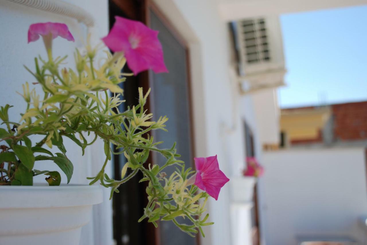 Apartments Hotel Al&De Velipojë エクステリア 写真